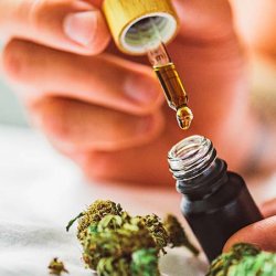 Cannabis Medicinal e as Fake News