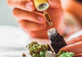 Cannabis Medicinal e as Fake News